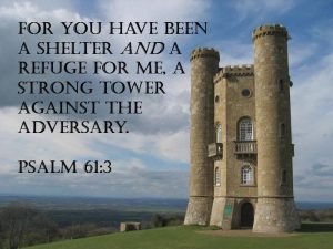 a Shelter and a Strong Tower