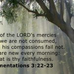 When God’s Mercy Speaks: A Boundless and Transformative Grace
